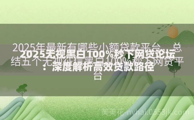 2025无视黑白100%秒下网贷论坛：深度解析高效贷款路径