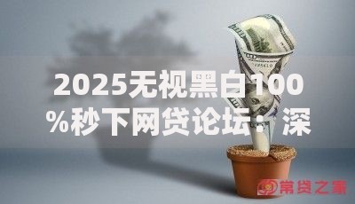 2025无视黑白100%秒下网贷论坛：深度解析高效贷款路径