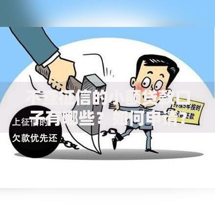 不查征信的小额贷款口子有哪些？如何申请？