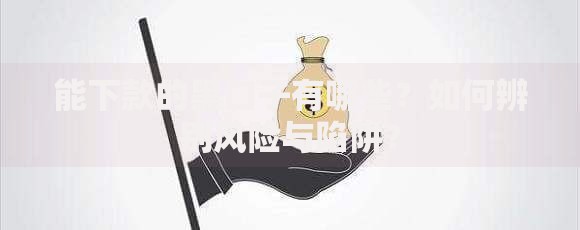 能下款的黑口子有哪些？如何辨别风险与陷阱？