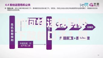 如何快速找到秒下款的口子？四大核心技巧解析