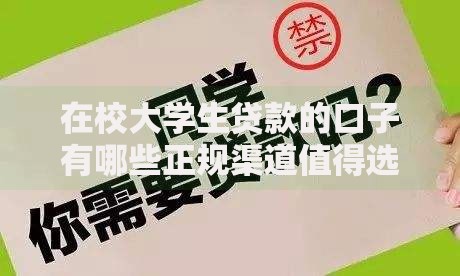 在校大学生贷款的口子有哪些正规渠道值得选择