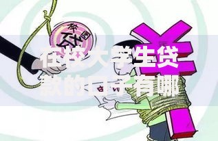 在校大学生贷款的口子有哪些正规渠道值得选择