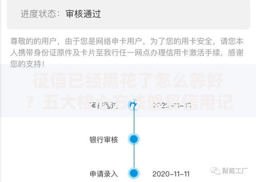 征信已经黑花了怎么养好？五大核心方法修复信用记录