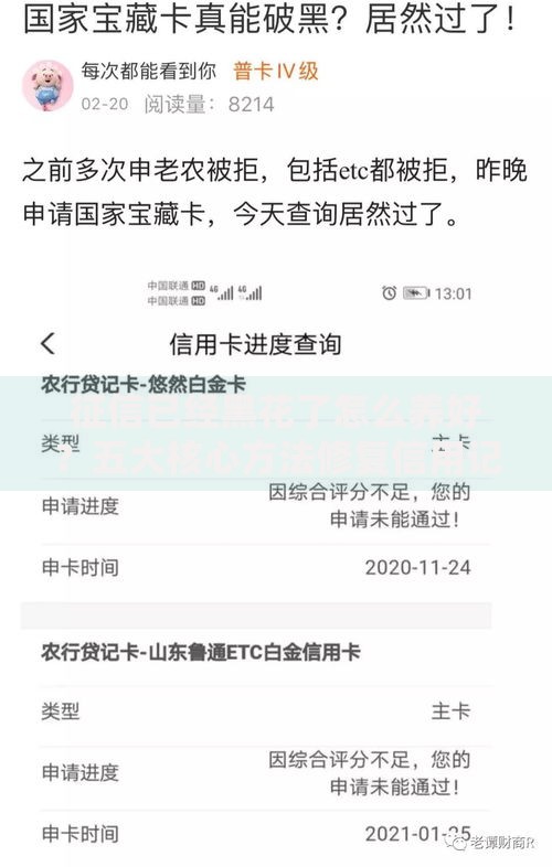 征信已经黑花了怎么养好？五大核心方法修复信用记录