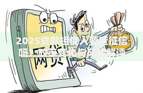 2025贷款担保人要查征信吗？政策变化与风险解读