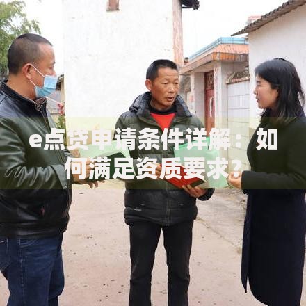 e点贷申请条件详解：如何满足资质要求？
