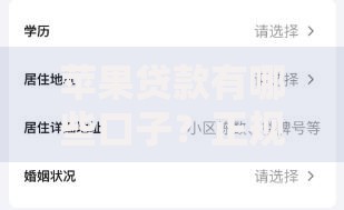 苹果贷款有哪些口子？正规渠道与申请流程解析