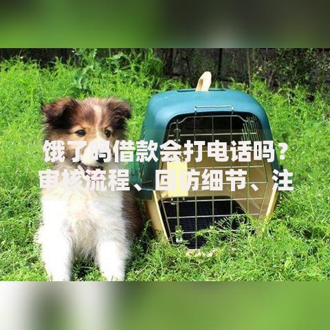 饿了吗借款会打电话吗？审核流程、回访细节、注意事项全解析