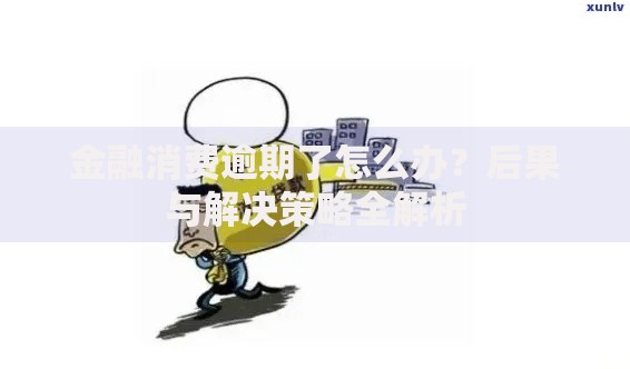 金融消费逾期了怎么办？后果与解决策略全解析