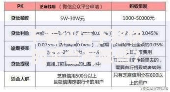 不看征信下款快的平台有哪些？安全选择指南