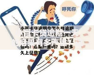 小赢卡贷逾期一天的后果有多严重？这些细节必须知道