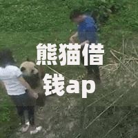 熊猫借钱app入口在哪里？正规贷款平台申请流程详解