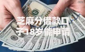芝麻分借款口子18岁能申请吗？年龄限制与低分借款全解析