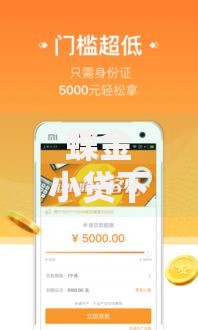 蝶金小贷下款容易嘛？审核流程与用户反馈全解析
