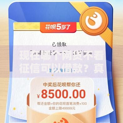现在哪个网贷不看征信可以借款？真实情况解析