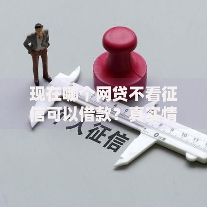现在哪个网贷不看征信可以借款？真实情况解析