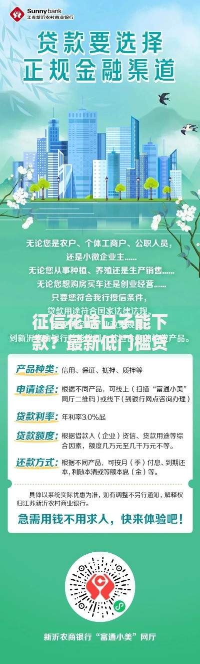 征信花啥口子能下款？最新低门槛贷款渠道解析