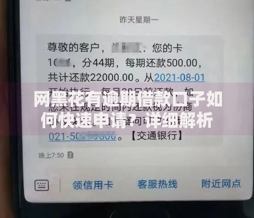 网黑花有逾期借款口子如何快速申请？详细解析