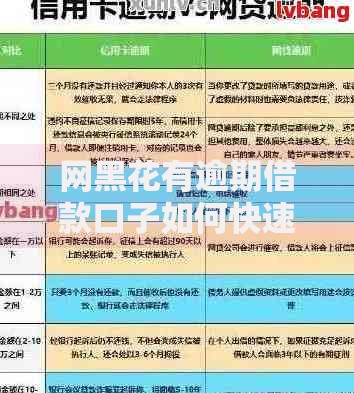 网黑花有逾期借款口子如何快速申请？详细解析