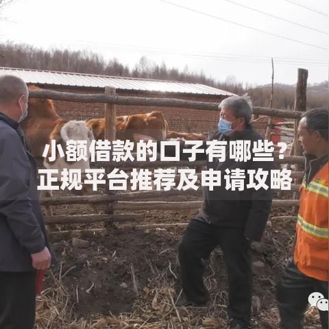 小额借款的口子有哪些？正规平台推荐及申请攻略