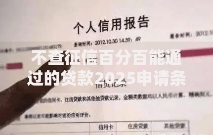 不查征信百分百能通过的贷款2025申请条件与风险解析