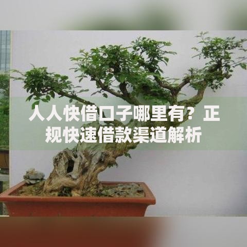 人人快借口子哪里有？正规快速借款渠道解析
