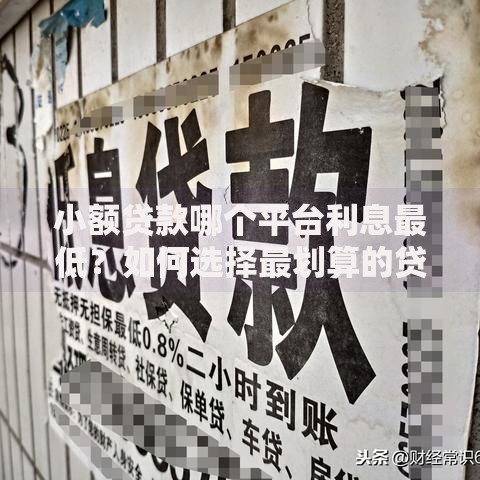 小额贷款哪个平台利息最低？如何选择最划算的贷款渠道