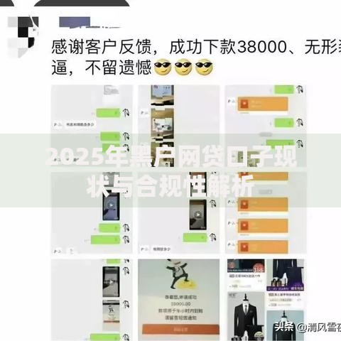 2025年黑户网贷口子现状与合规性解析