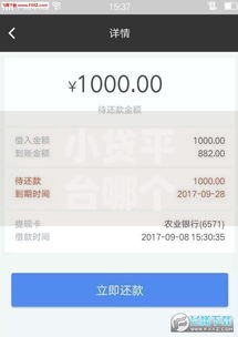 小贷平台哪个好借款利息低？精选低息渠道测评