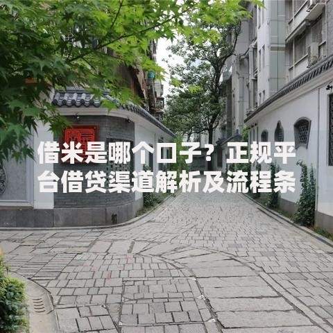 借米是哪个口子？正规平台借贷渠道解析及流程条件详解