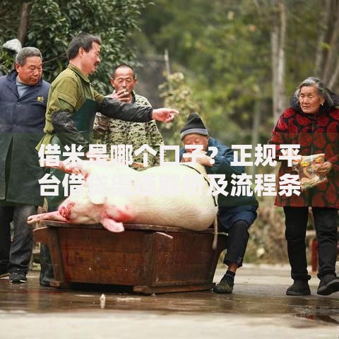 借米是哪个口子？正规平台借贷渠道解析及流程条件详解