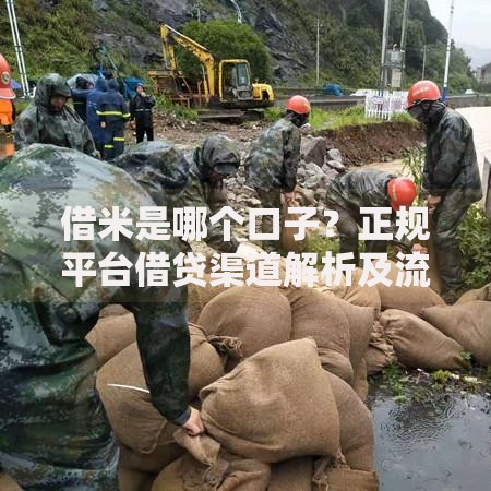 借米是哪个口子？正规平台借贷渠道解析及流程条件详解