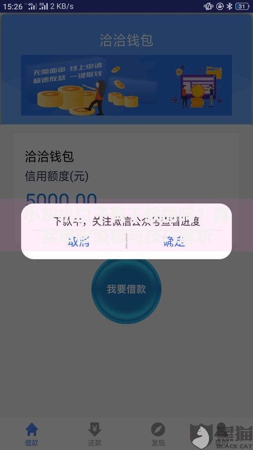 小灰机口子有下款的吗？真实审核流程与技巧解析