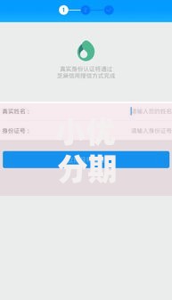 小优分期是哪里的口子？解析平台背景与借款流程