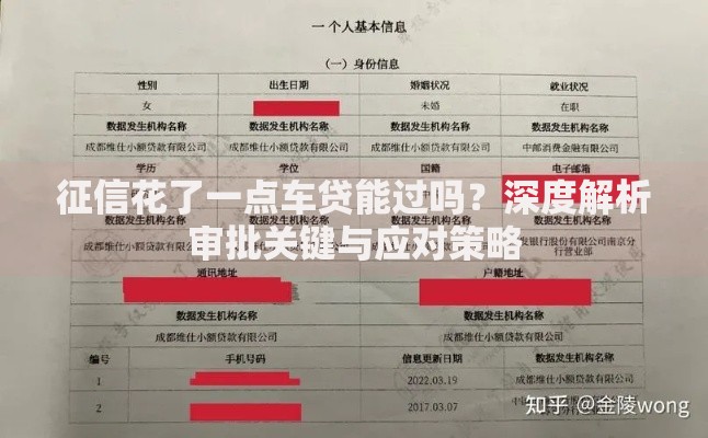 征信花了一点车贷能过吗？深度解析审批关键与应对策略