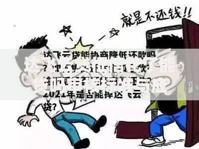 达飞云贷征信花了能贷吗审核标准与应对策略