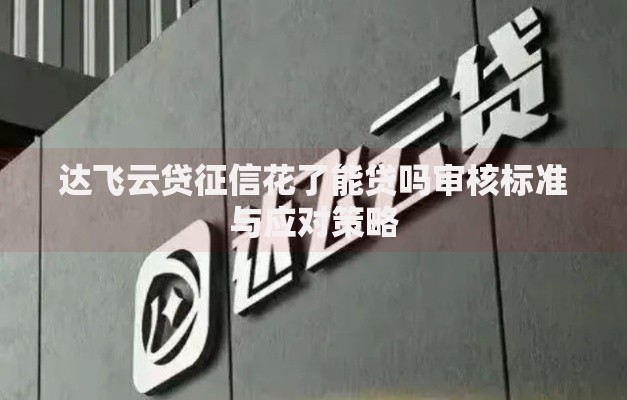 达飞云贷征信花了能贷吗审核标准与应对策略