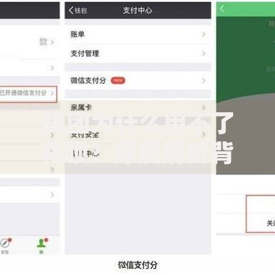美团为什么用不了花呗？深度解析背后原因与解决方案