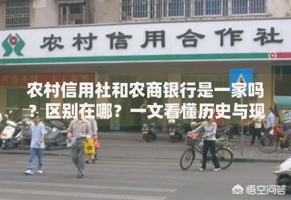农村信用社和农商银行是一家吗？区别在哪？一文看懂历史与现状