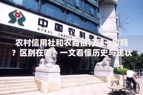 钱兔金服有哪些口子？贷款产品类型与申请条件解析