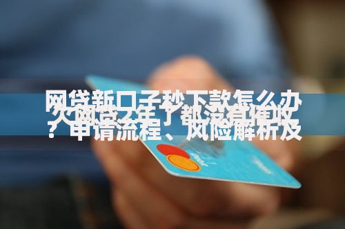 网贷新口子秒下款怎么办？申请流程、风险解析及注意事项全攻略
