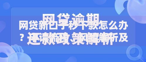 网贷新口子秒下款怎么办？申请流程、风险解析及注意事项全攻略