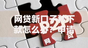 网贷新口子秒下款怎么办？申请流程、风险解析及注意事项全攻略