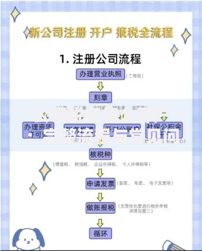 公司税务怎么开户：完整流程与常见问题解答