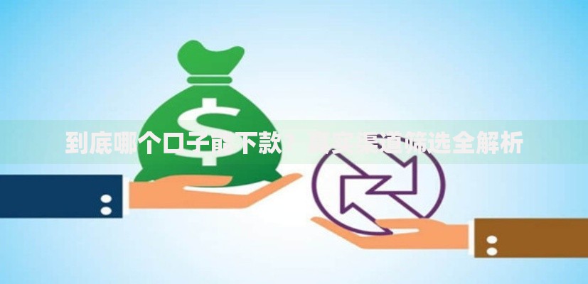 到底哪个口子能下款？真实渠道筛选全解析