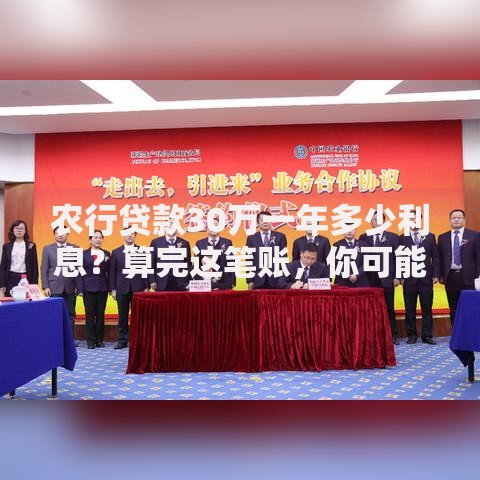 农行贷款30万一年多少利息？算完这笔账，你可能更想贷了！