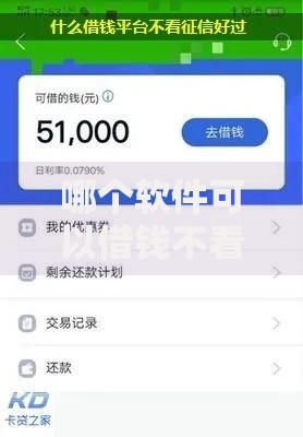 哪个软件可以借钱不看征信？正规平台推荐及注意事项