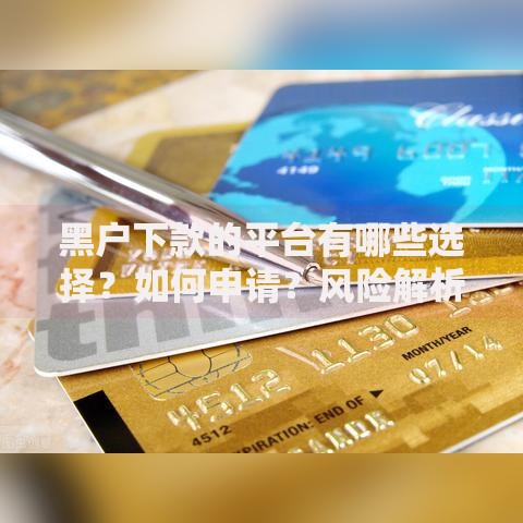 黑户下款的平台有哪些选择？如何申请？风险解析