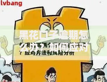 黑花口子逾期怎么办？如何应对？解决策略与法律风险解析
